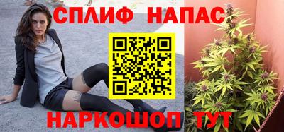 ПСИЛОЦИБИНОВЫЕ ГРИБЫ Камень-на-Оби