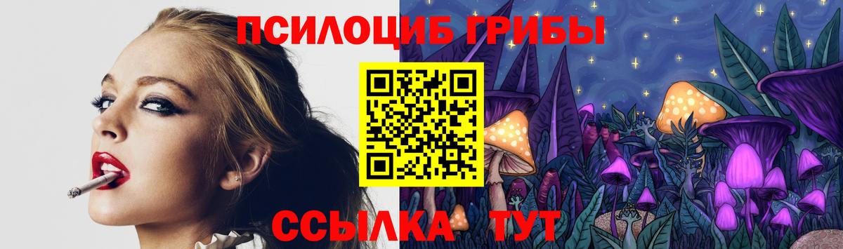 Галлюциногенные грибы GOLDEN TEACHER  Вход с VPN  Омск  сколько стоит  Галлюциногенные грибы Psilocybine cubensis 